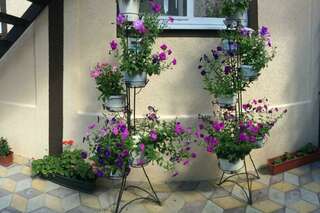 Гостиница Дуэт Сукко-2